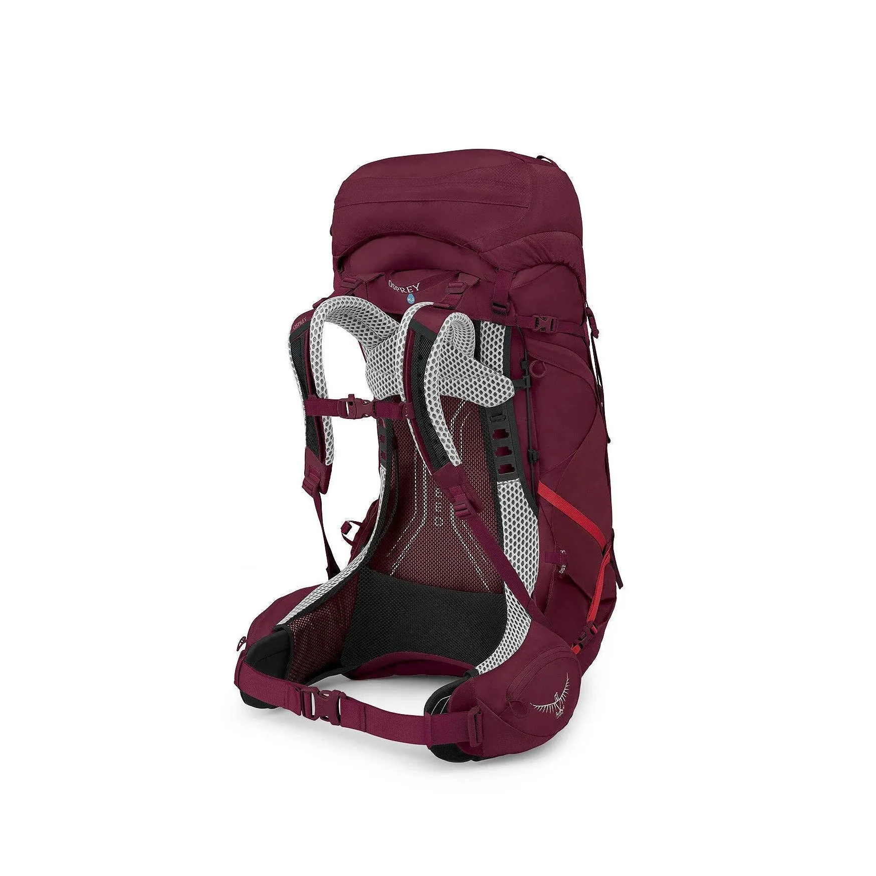 Aura AG LT 50 (Women's)