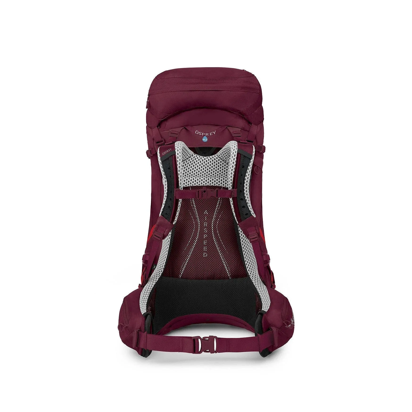 Aura AG LT 50 (Women's)