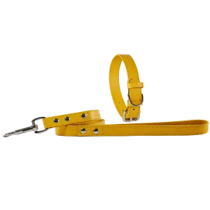 Baker & Bray Sustainable Leather Dog Collar & Lead Set | Lemon