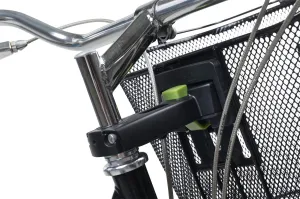 Basil - Bremen (Ahead) Basket