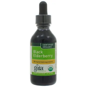 Black Elderberry