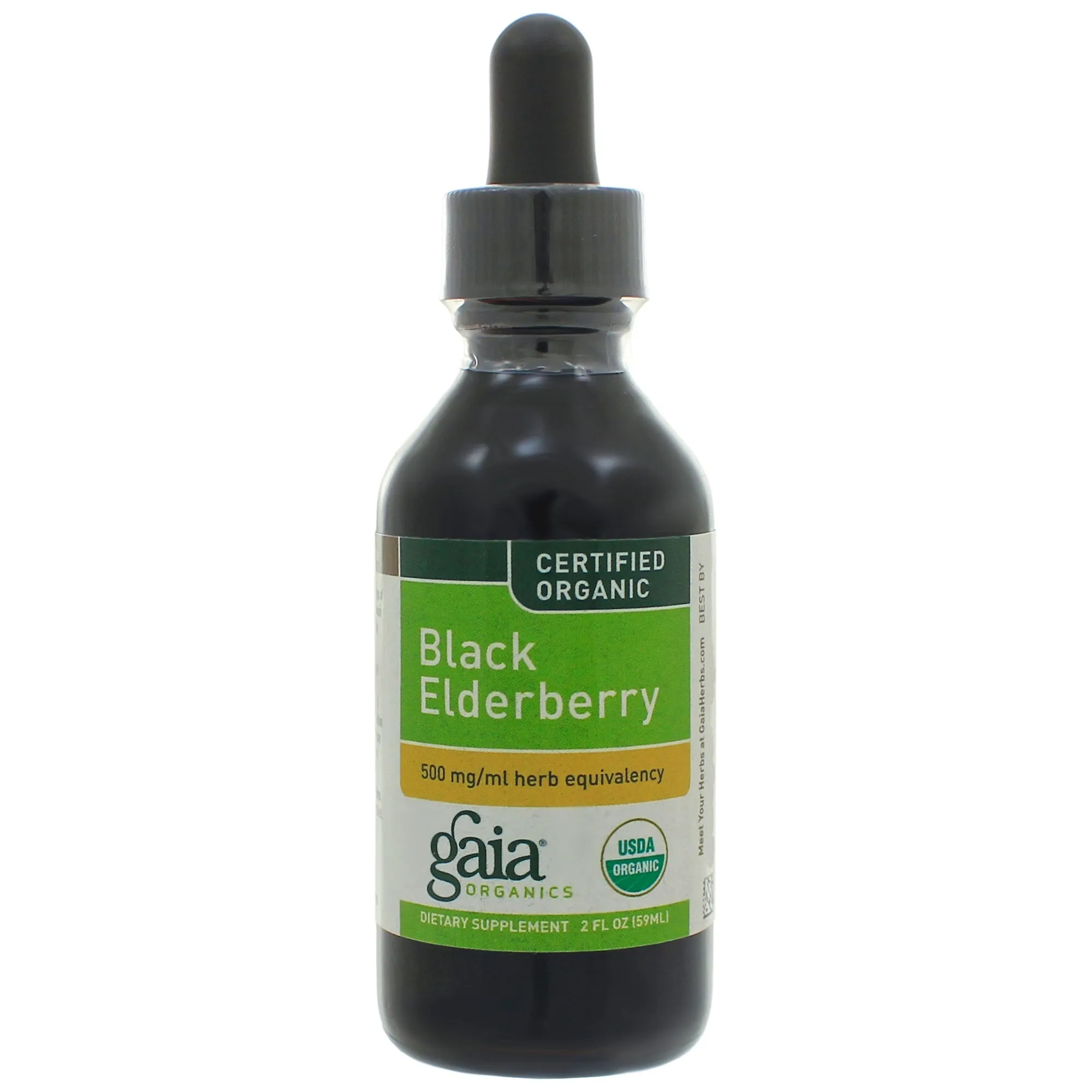 Black Elderberry