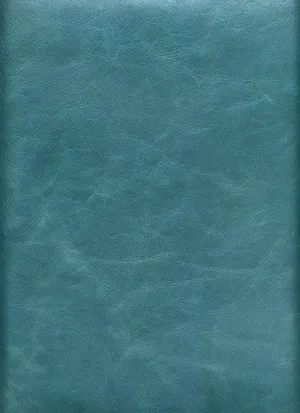 Bolero Pearlized - Aqua