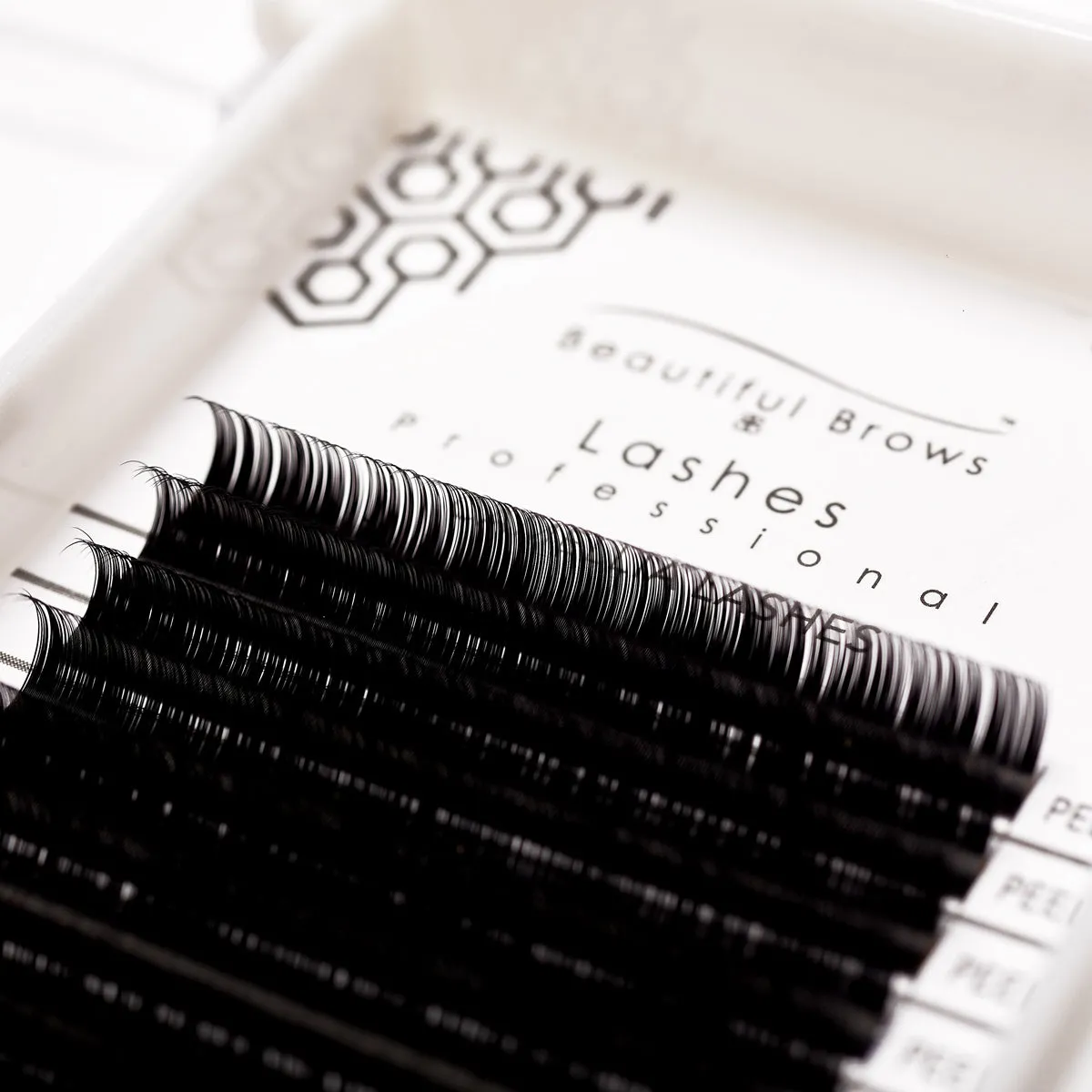 Camellia Lashes