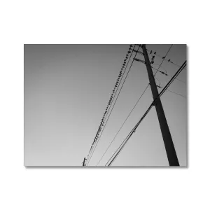 Canvas Print - Birds On A Wire (Framed)