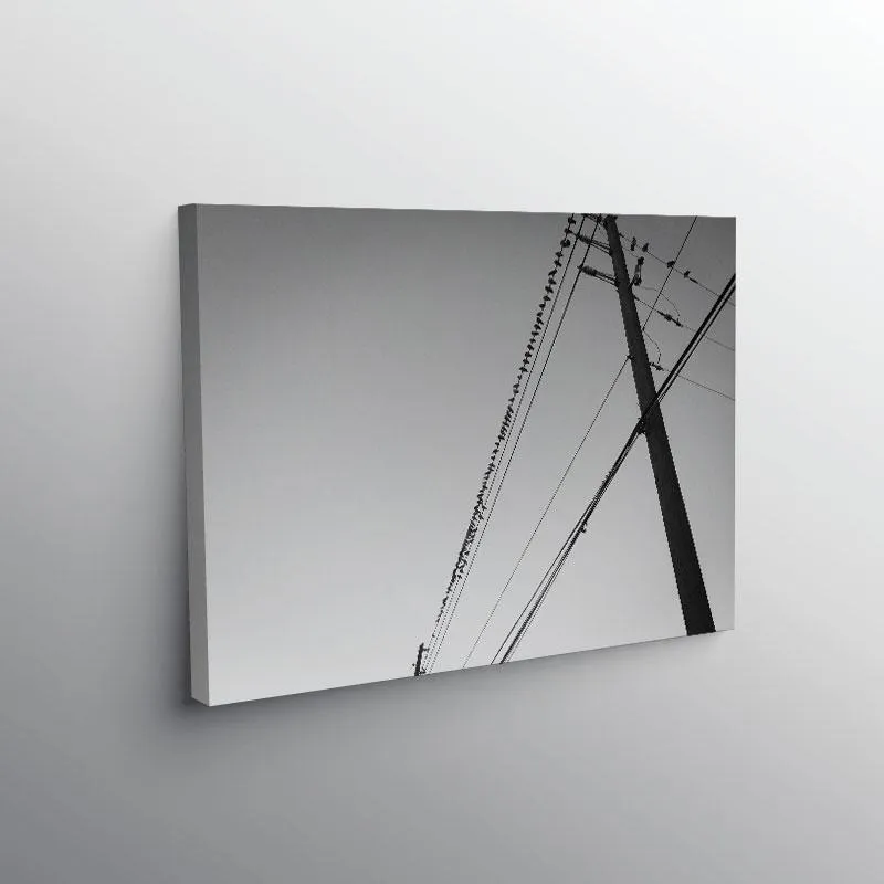 Canvas Print - Birds On A Wire (Framed)