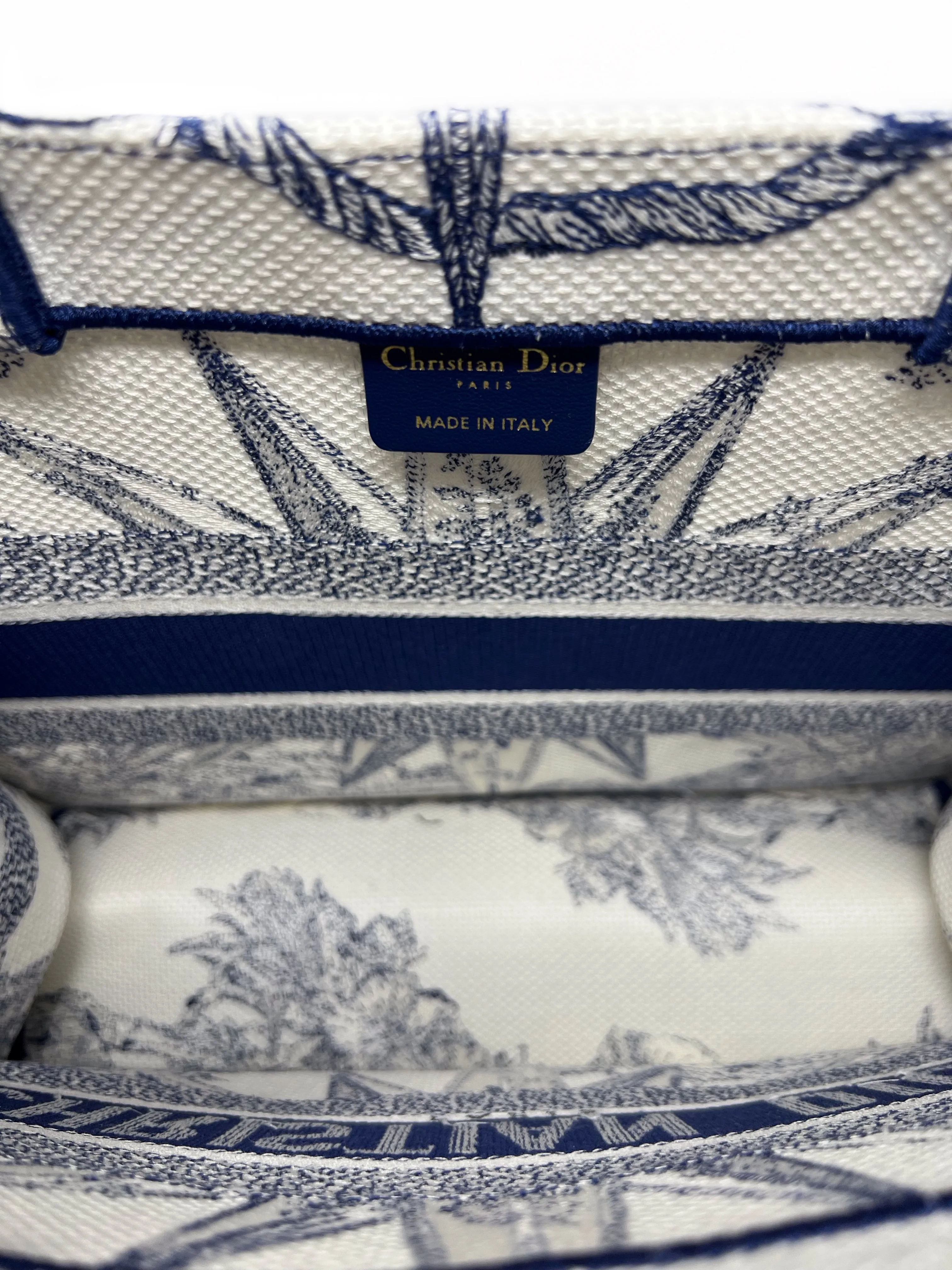 Christian Dior Blue/White WDB! '22 MD 'Book Tote' Rêve d’infini Bag