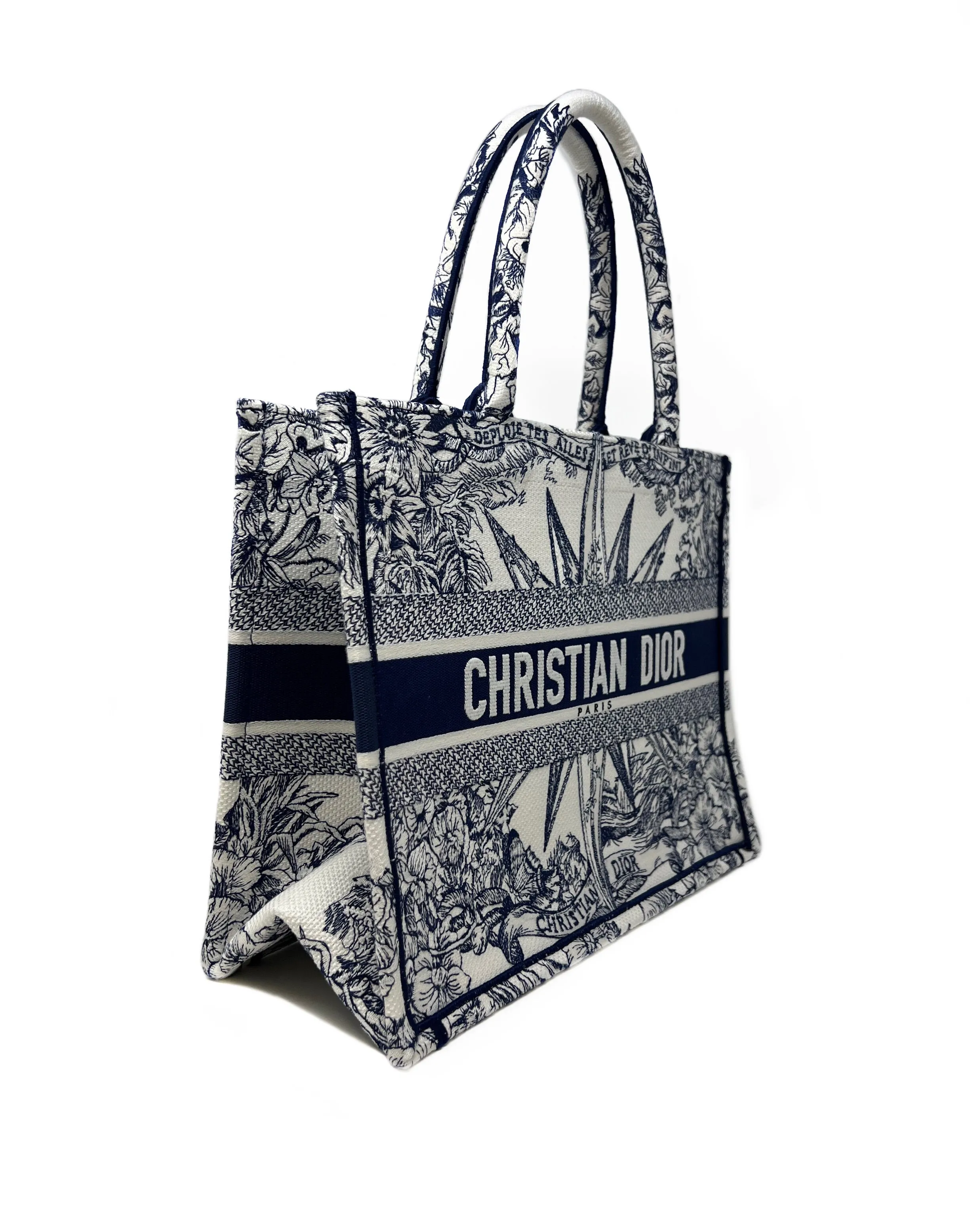 Christian Dior Blue/White WDB! '22 MD 'Book Tote' Rêve d’infini Bag