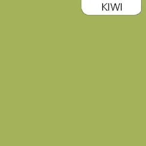 Colorworks Premium Solid 9000-741 Kiwi