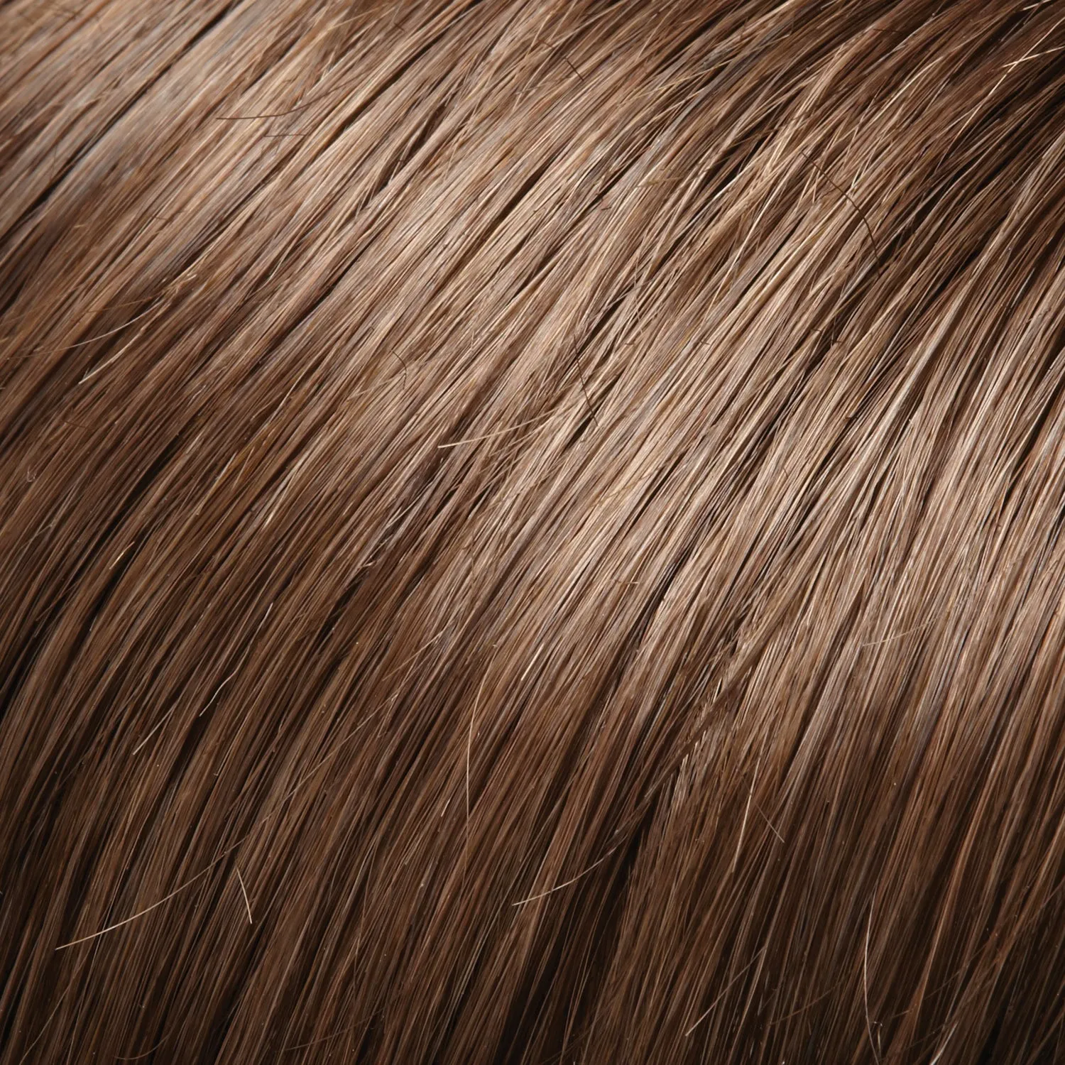 EasiHair - easiXtend Professional 12"