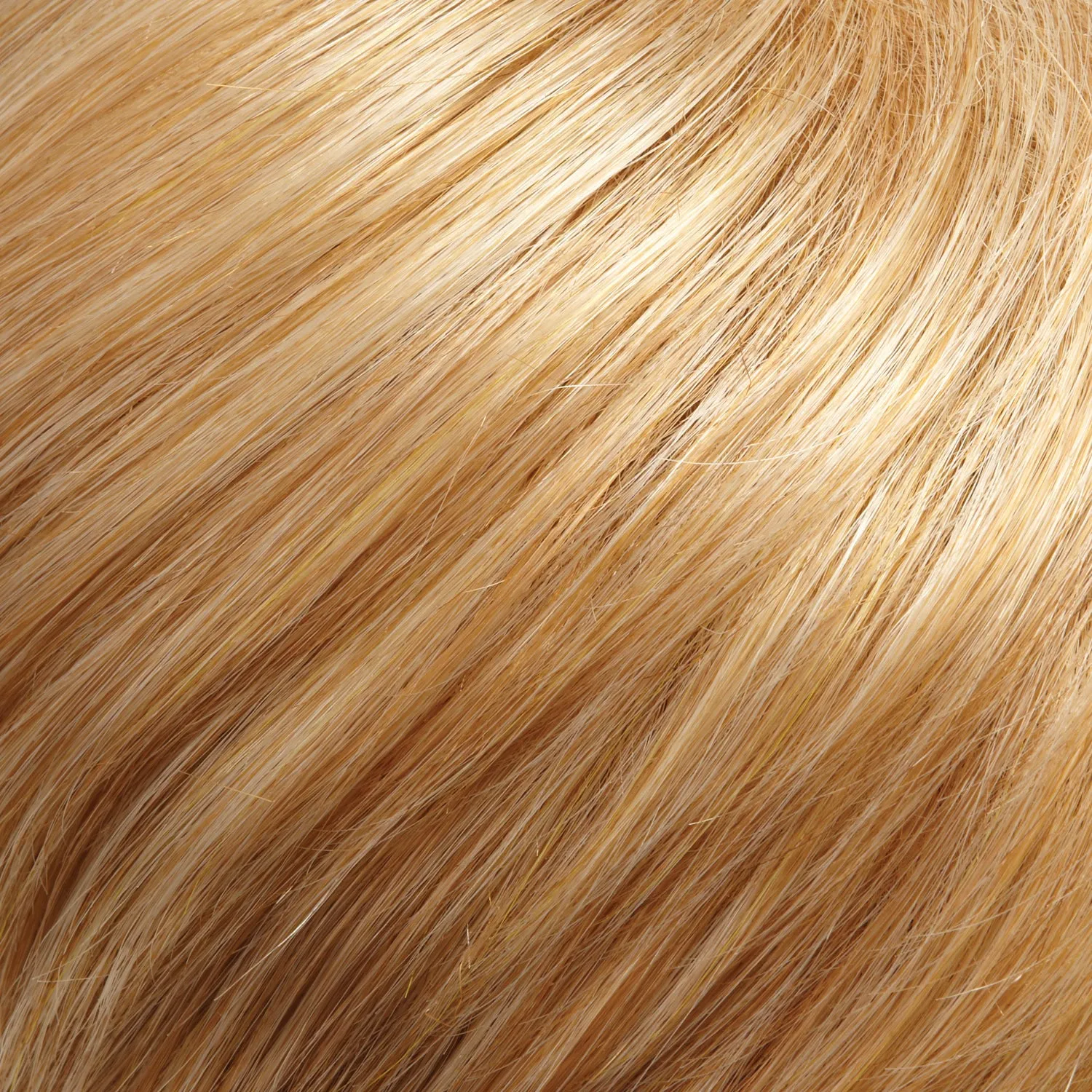 EasiHair - easiXtend Professional 12"