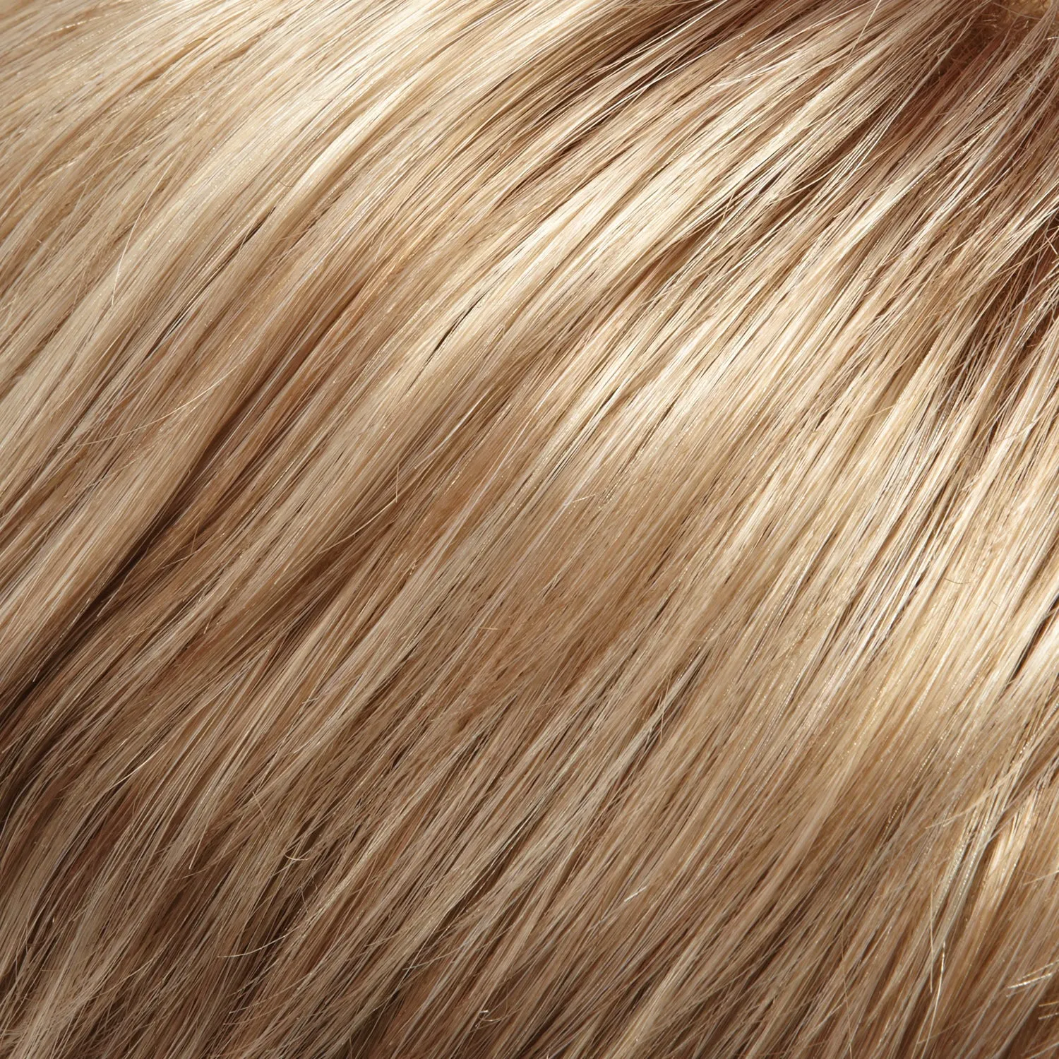 EasiHair - easiXtend Professional 12"