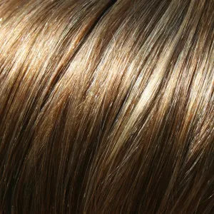 EasiHair - easiXtend Professional 12"