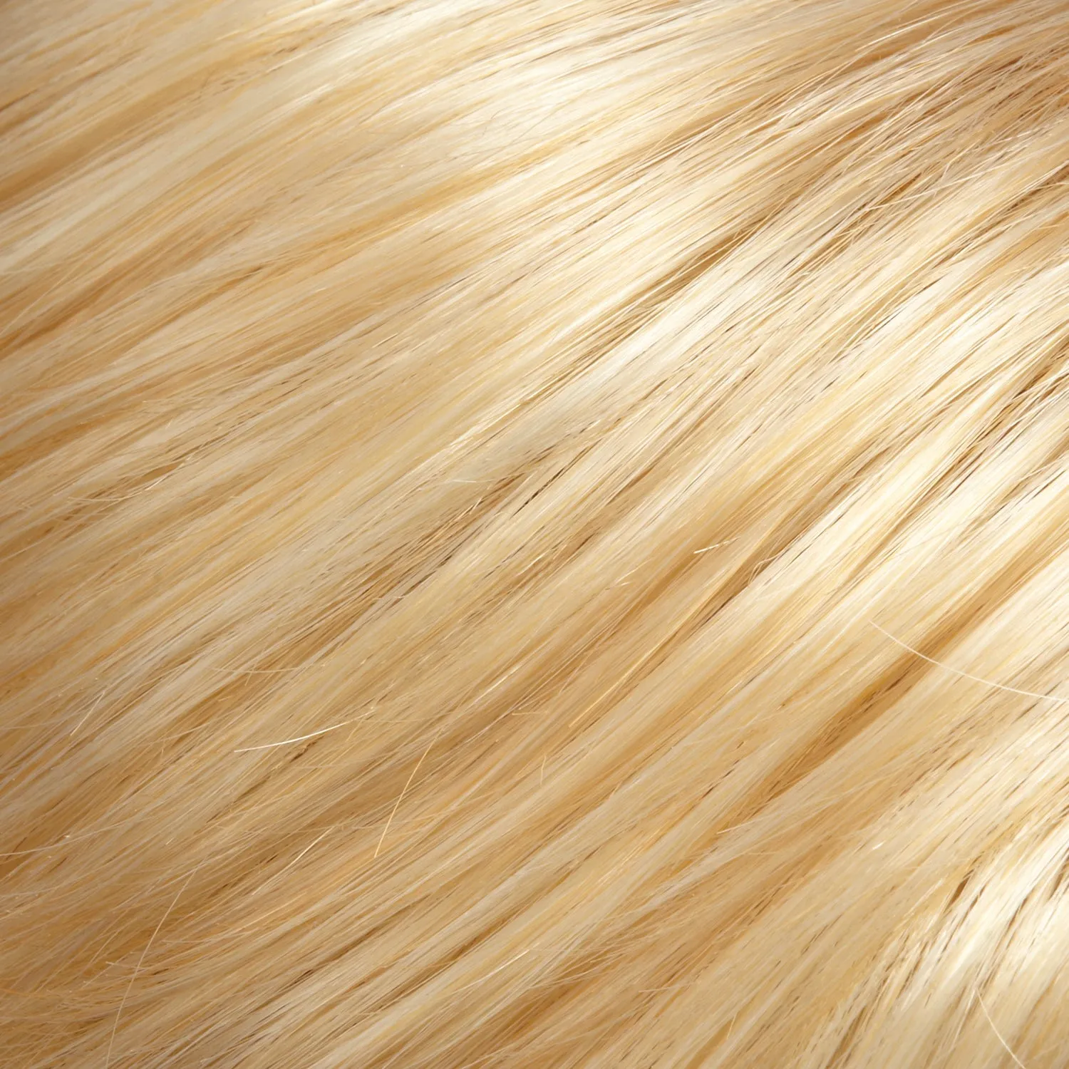 EasiHair - easiXtend Professional 12"