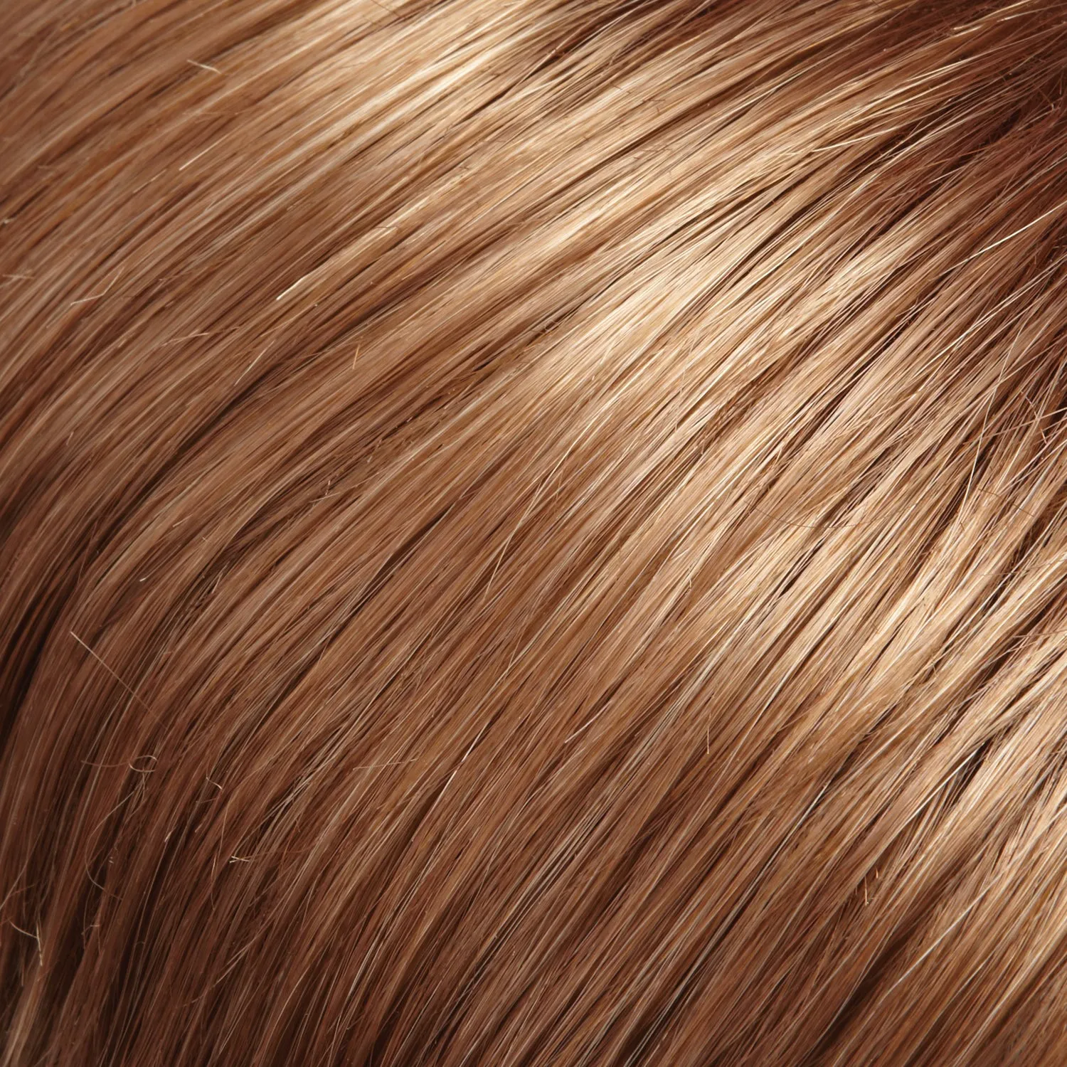 EasiHair - easiXtend Professional 12"
