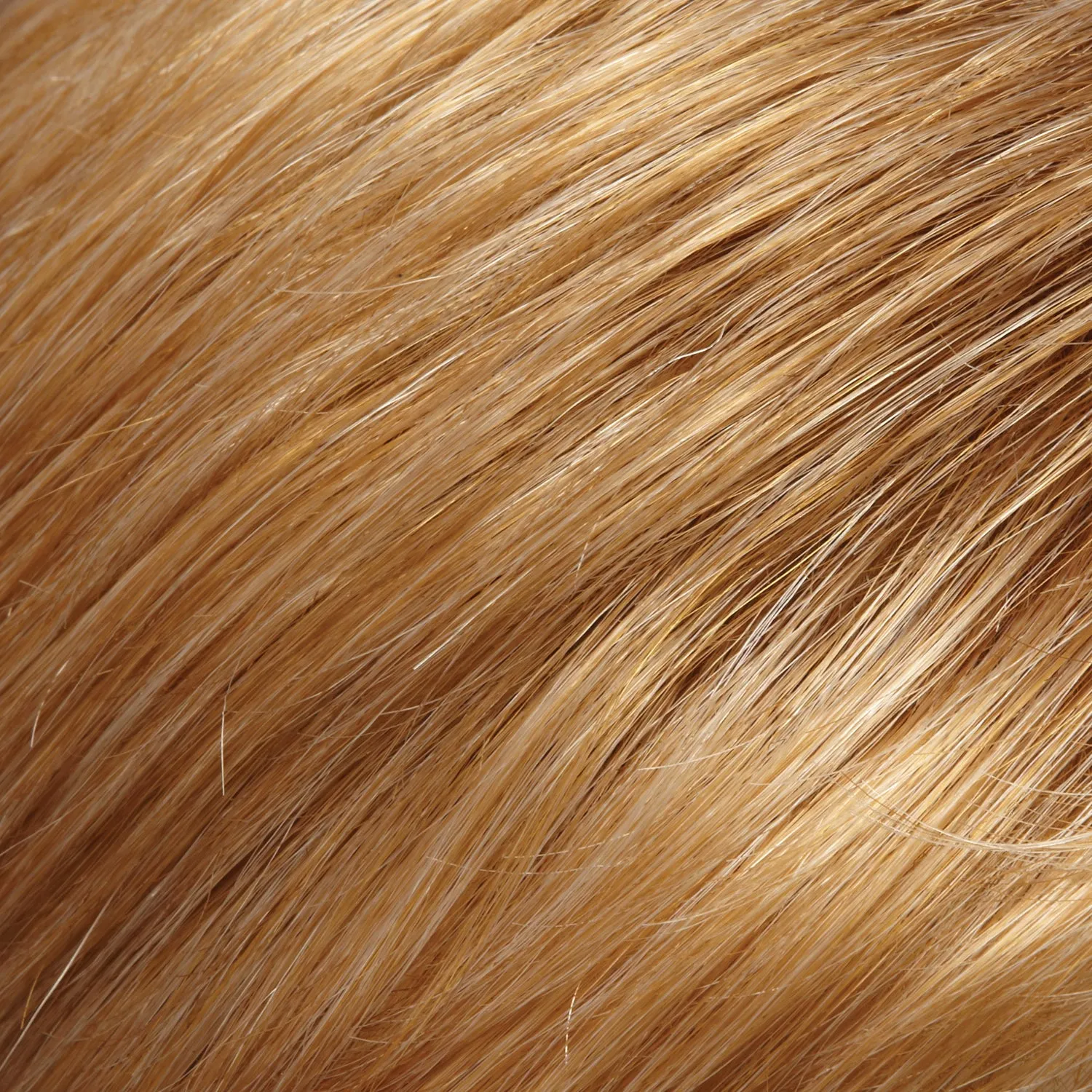 EasiHair - easiXtend Professional 12"