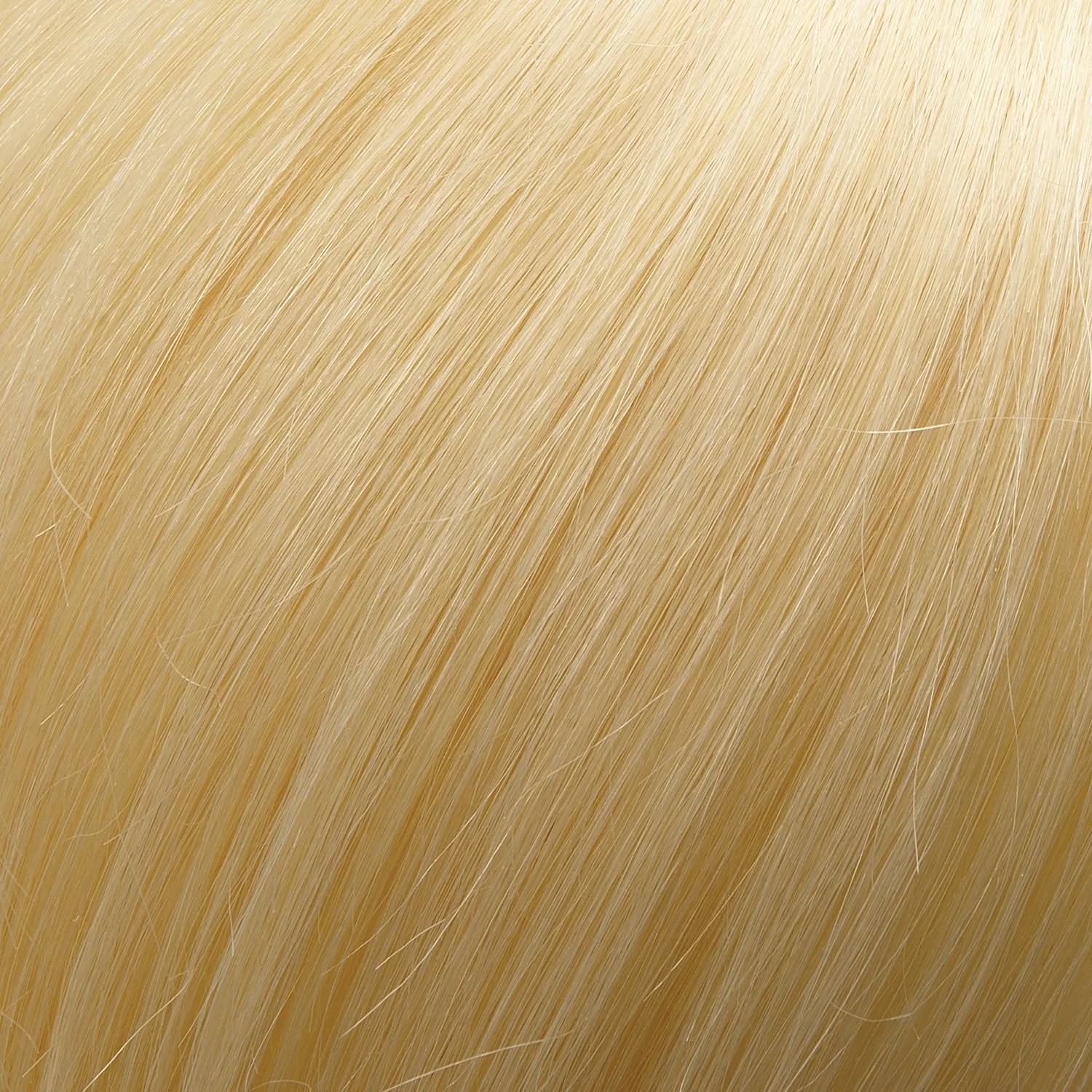 EasiHair - easiXtend Professional 12"