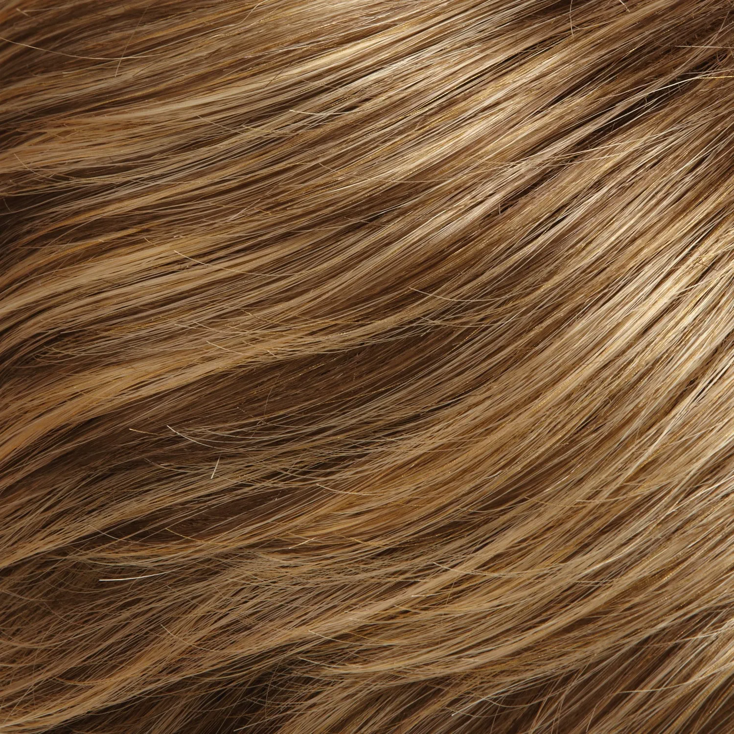 EasiHair - easiXtend Professional 12"