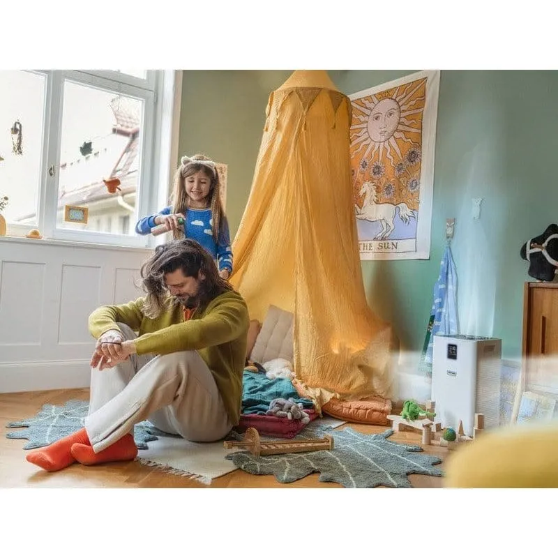 Karcher Air Purifier AF 30