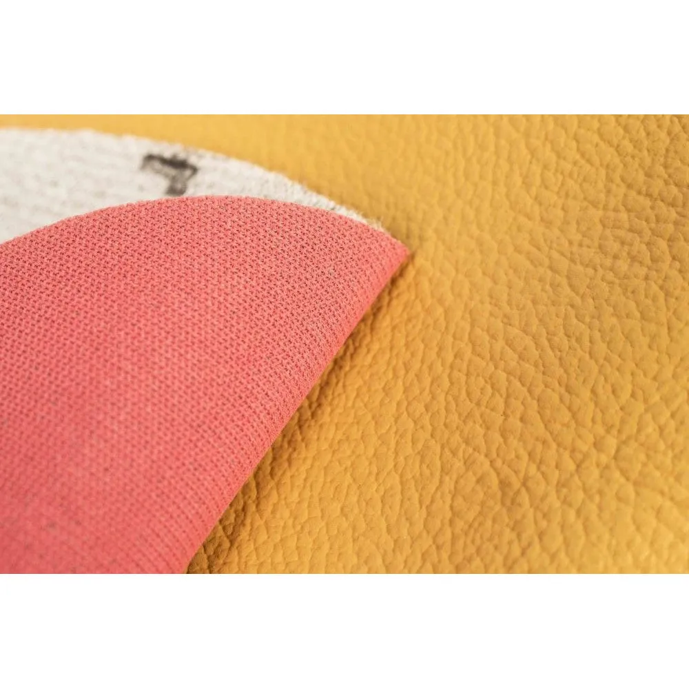 Leather Sanding Disc Colourlock 4000