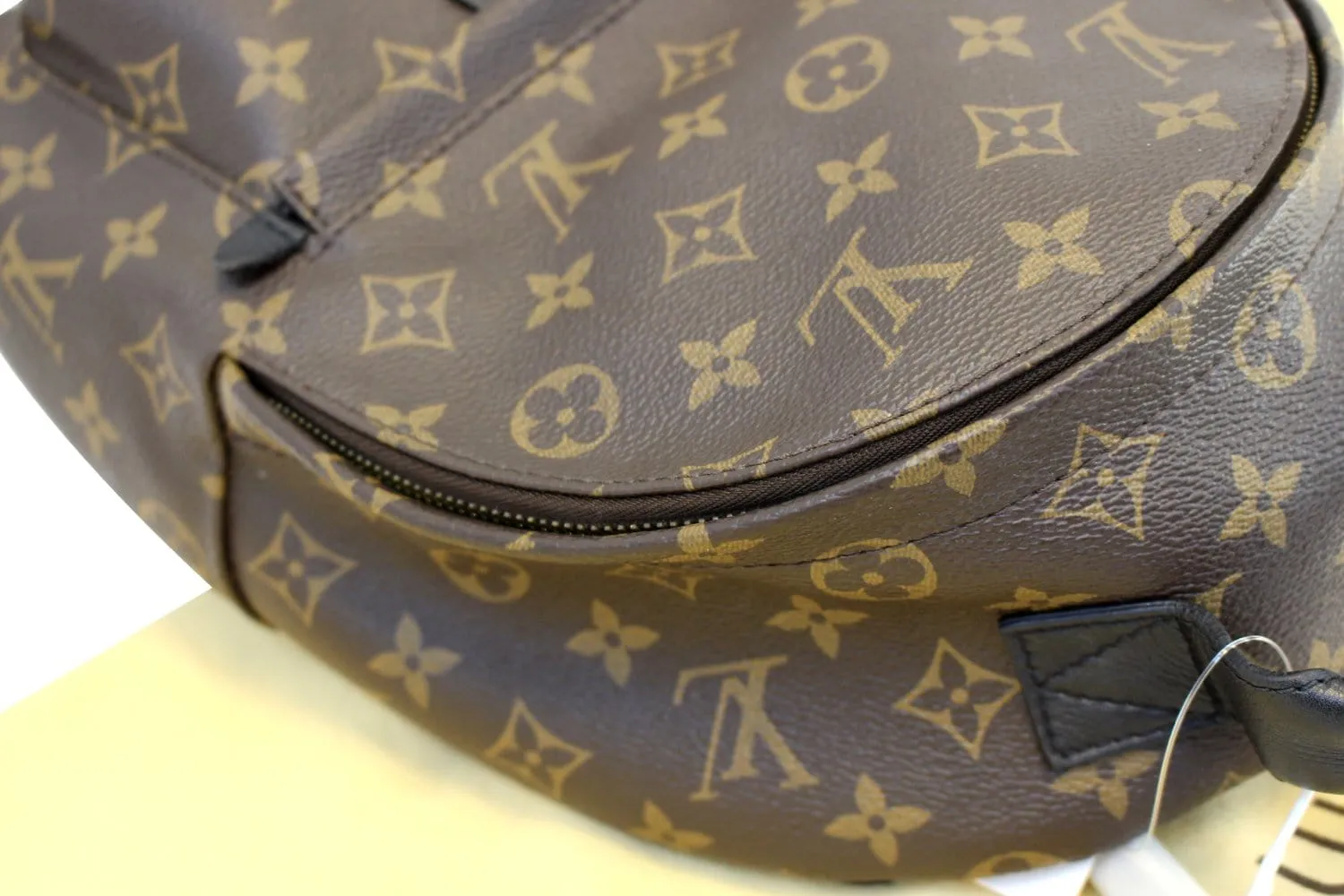 LOUIS VUITTON Monogram Canvas Palm Springs Backpack