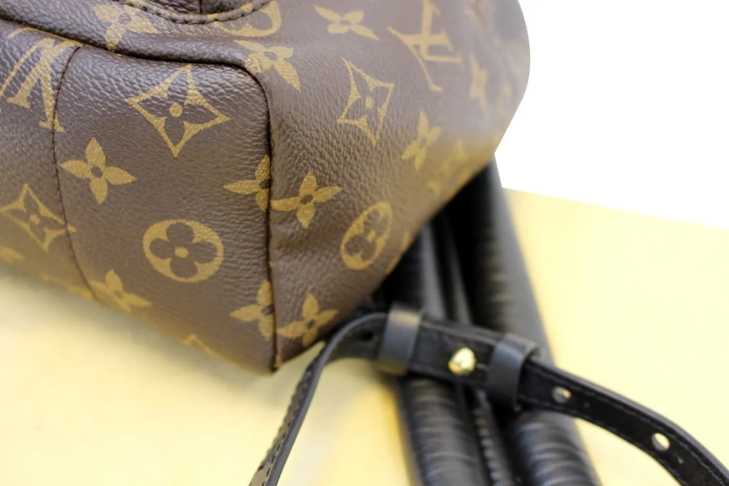 LOUIS VUITTON Monogram Canvas Palm Springs Backpack