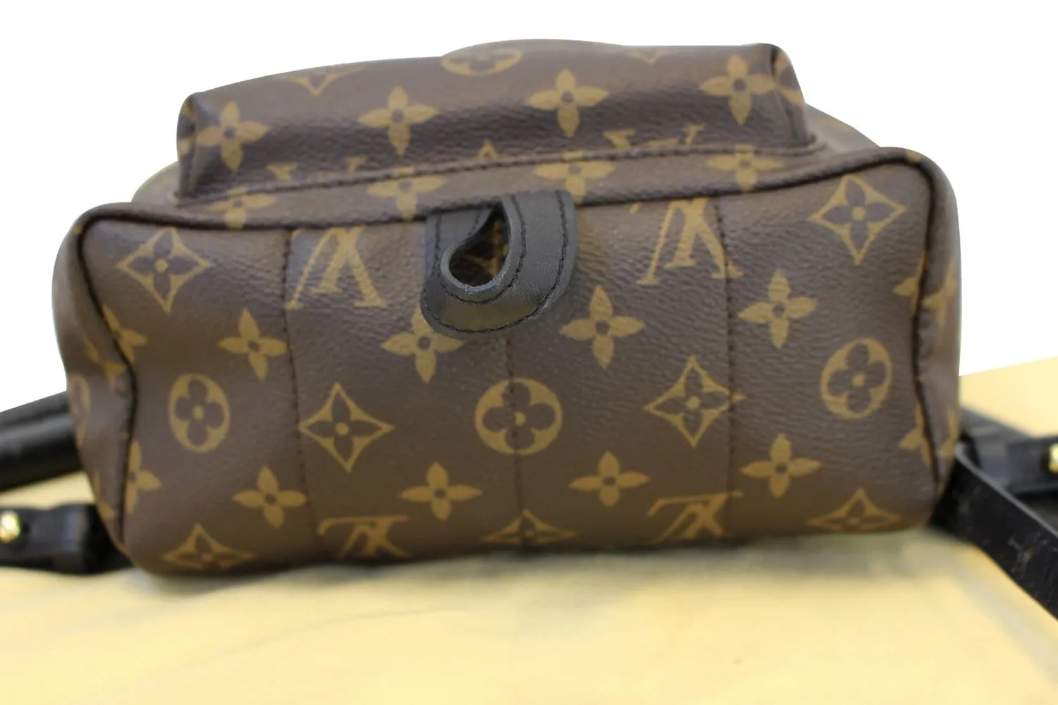 LOUIS VUITTON Monogram Canvas Palm Springs Backpack