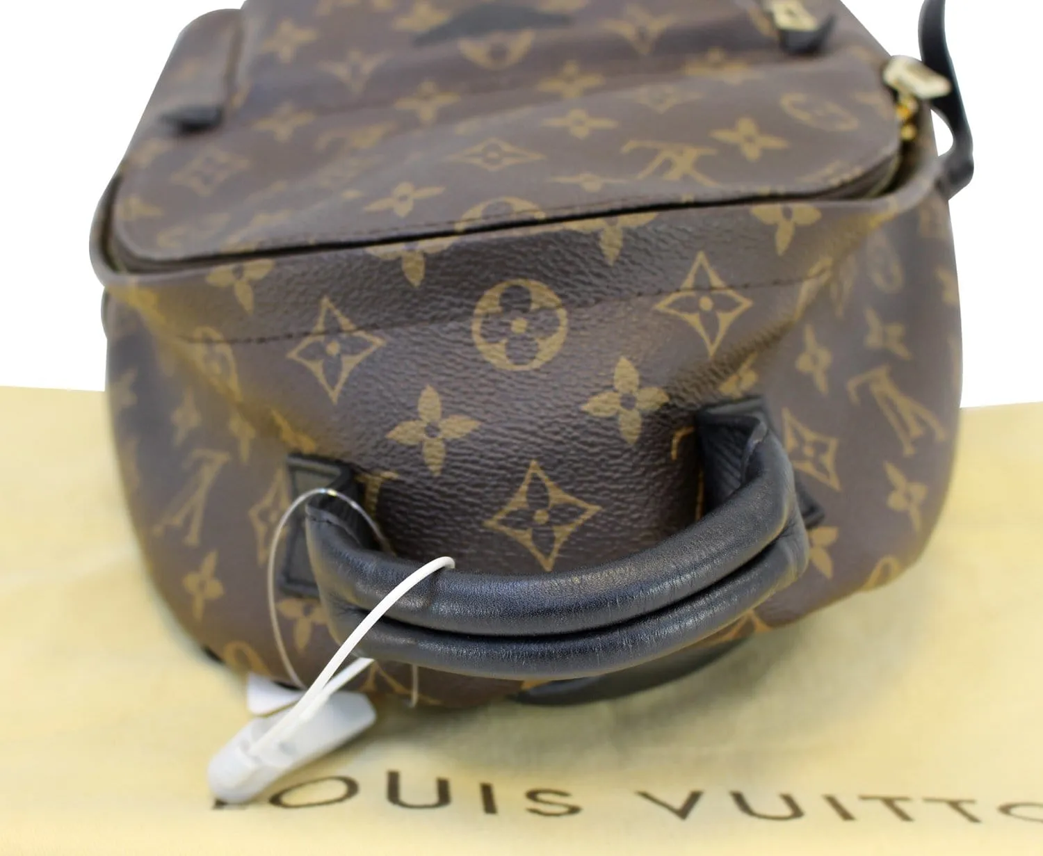 LOUIS VUITTON Monogram Canvas Palm Springs Backpack