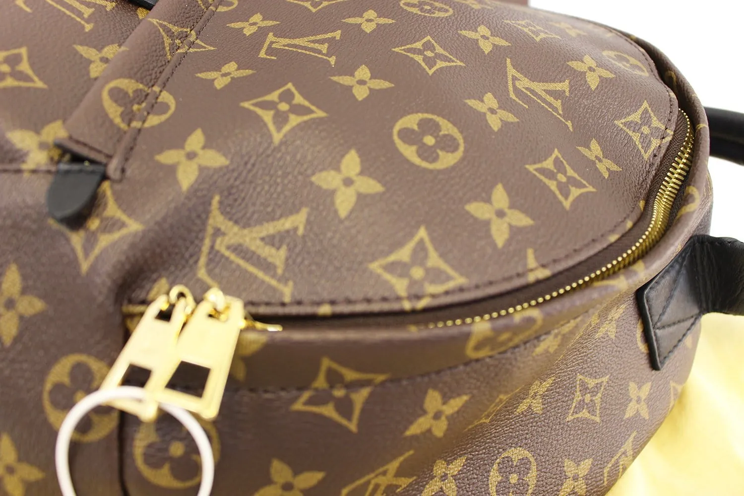 LOUIS VUITTON Monogram Canvas Palm Springs MM Backpack