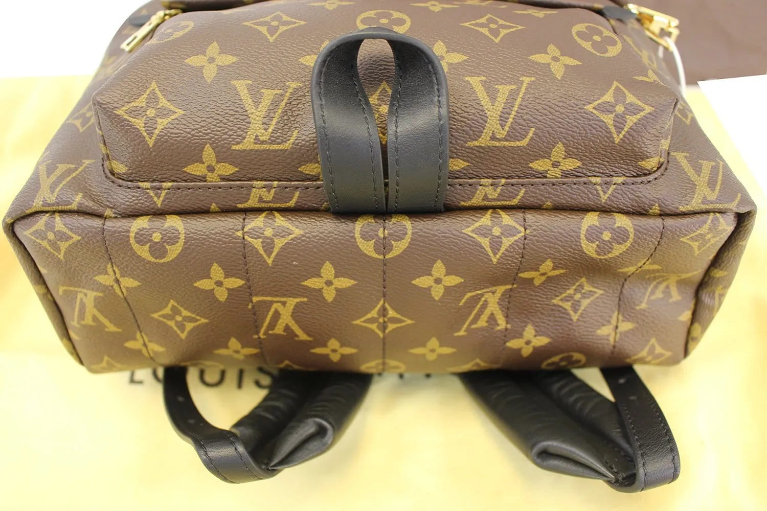 LOUIS VUITTON Monogram Canvas Palm Springs MM Backpack