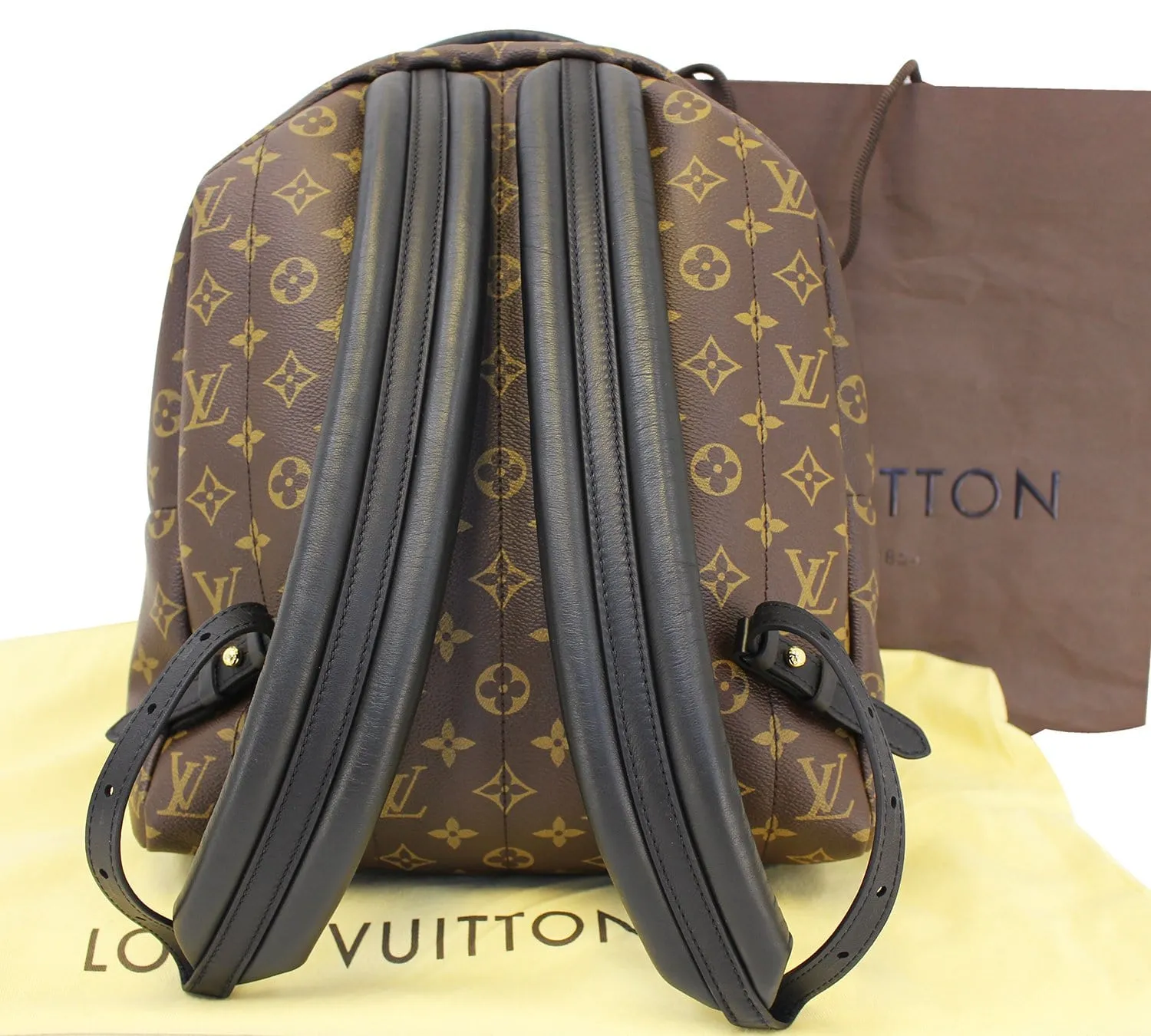 LOUIS VUITTON Monogram Canvas Palm Springs MM Backpack