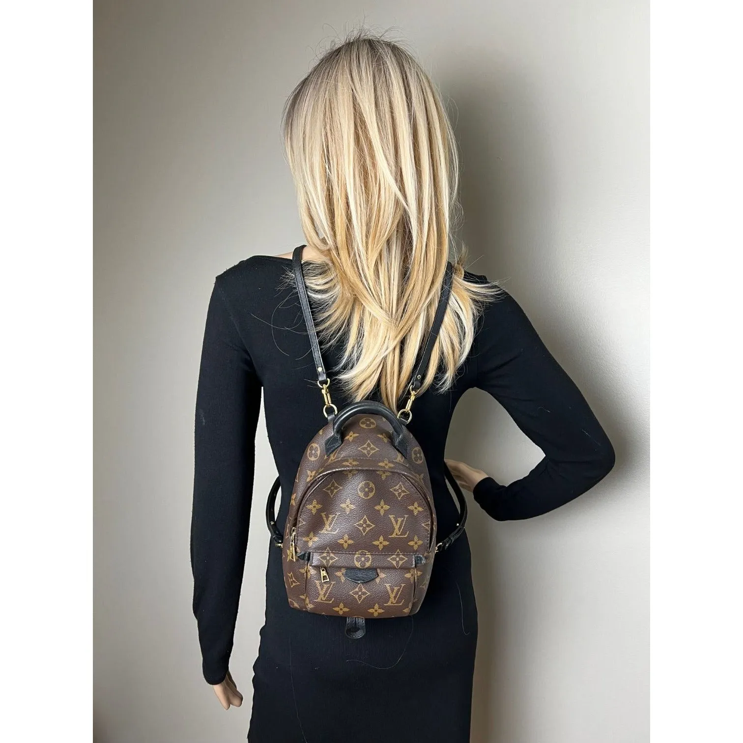 LOUIS VUITTON Palm Springs Mini Monogram Backpack Bag