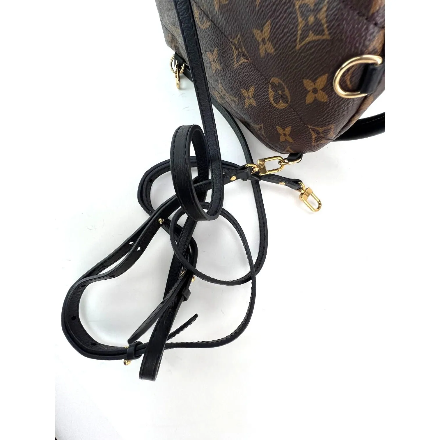 LOUIS VUITTON Palm Springs Mini Monogram Backpack Bag