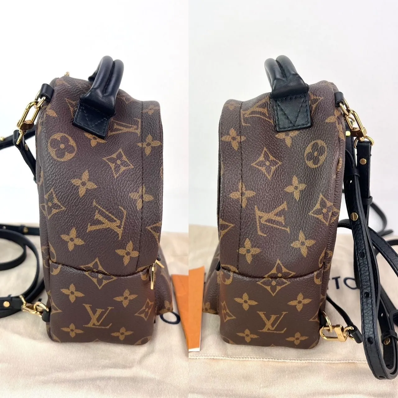 LOUIS VUITTON Palm Springs Mini Monogram Backpack Bag