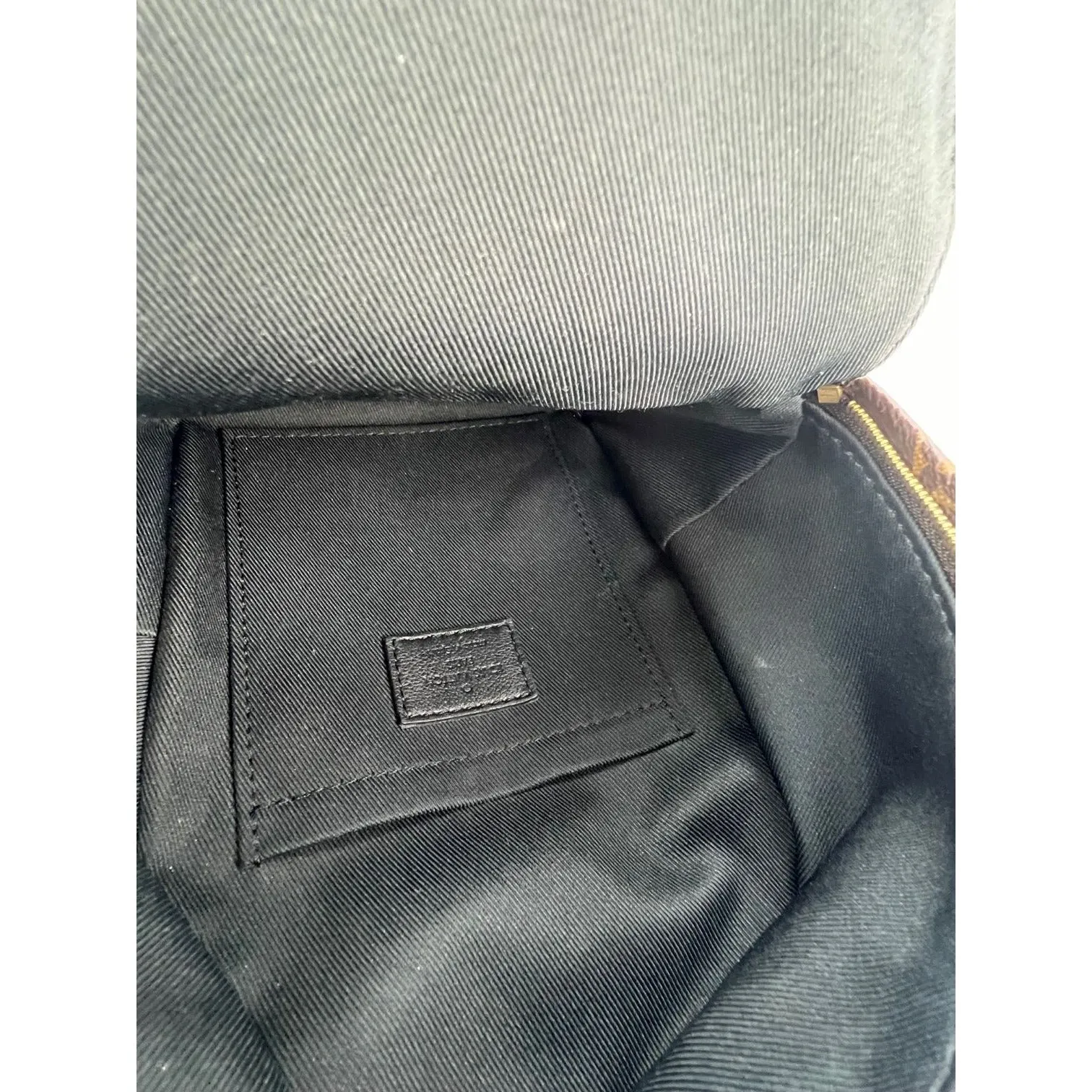 LOUIS VUITTON Palm Springs Mini Monogram Backpack Bag