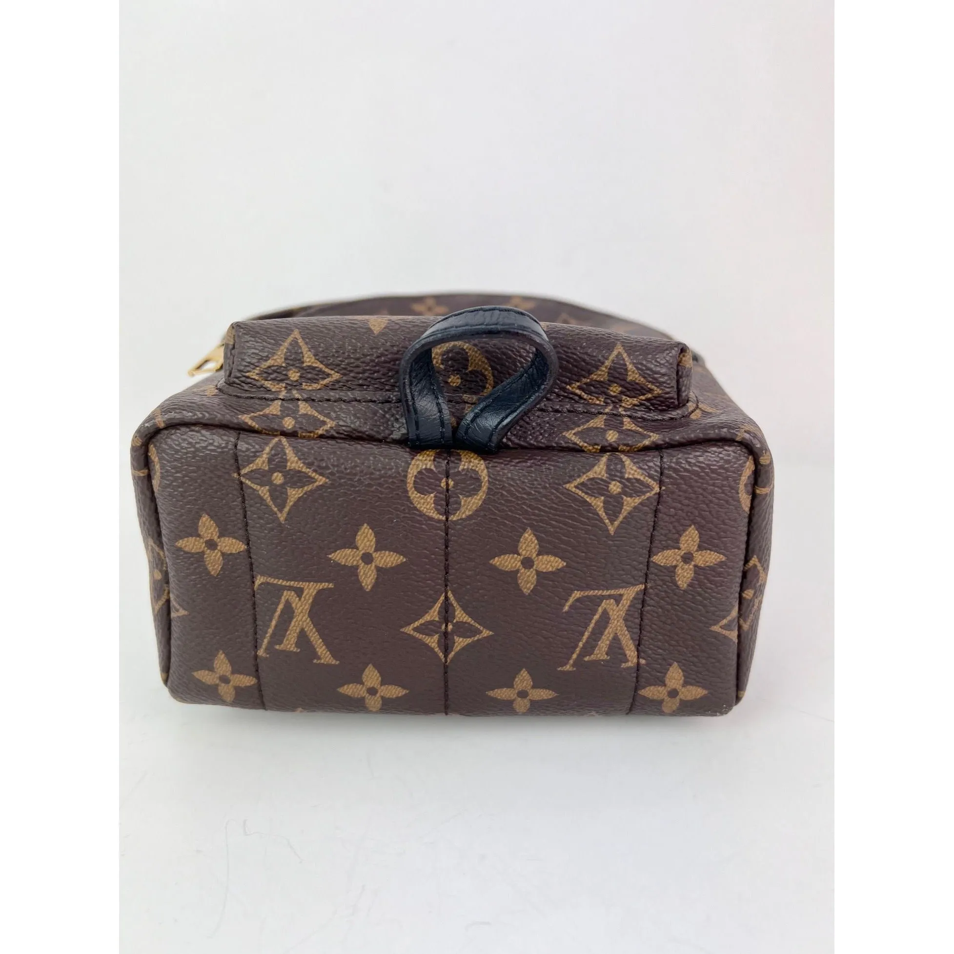 LOUIS VUITTON Palm Springs Mini Monogram Backpack Bag