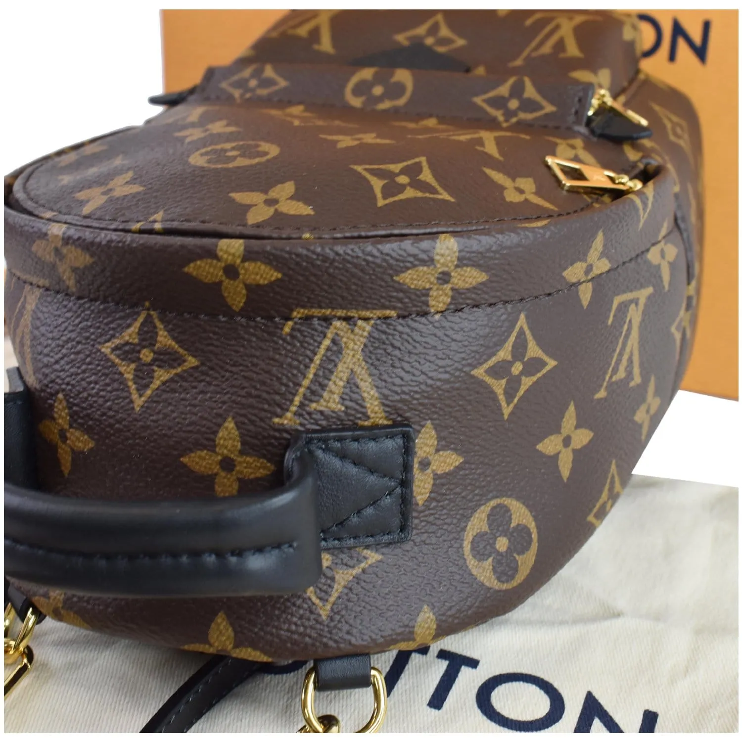 LOUIS VUITTON  Palm Springs Mini Monogram Canvas Backpack Brown