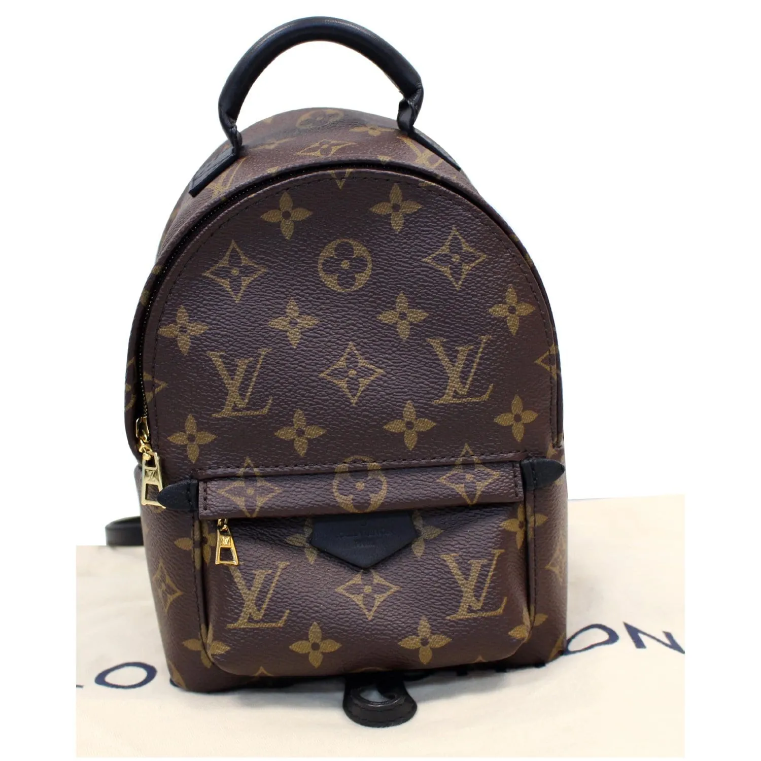 LOUIS VUITTON Palm Springs Mini Monogram Canvas Backpack Brown