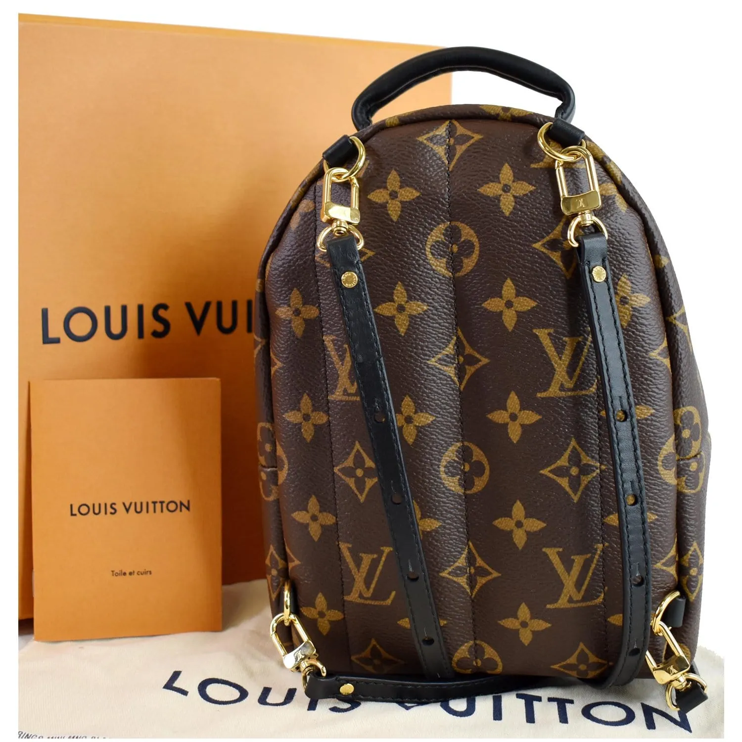 LOUIS VUITTON  Palm Springs Mini Monogram Canvas Backpack Brown