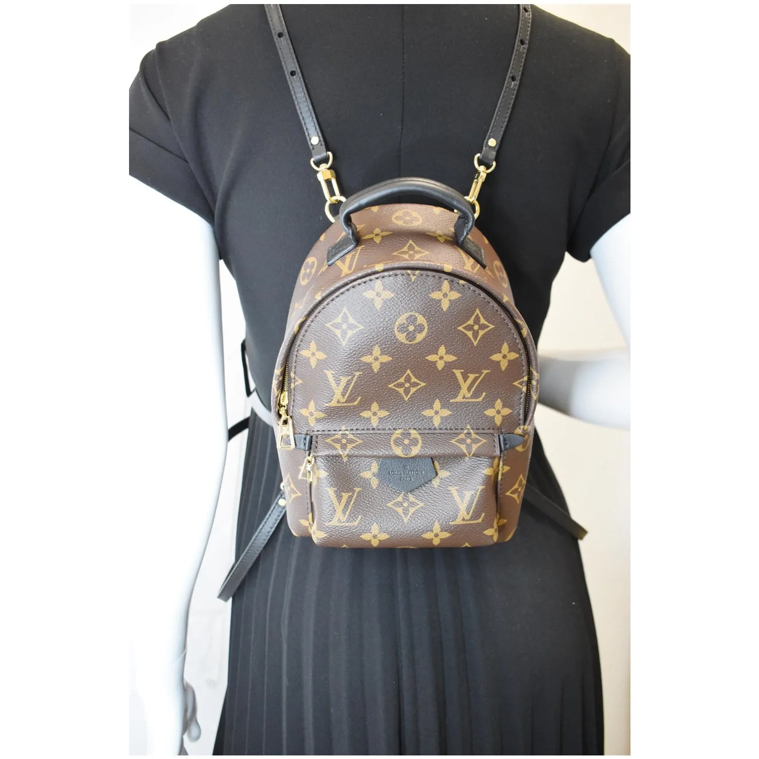 LOUIS VUITTON  Palm Springs Mini Monogram Canvas Backpack Brown