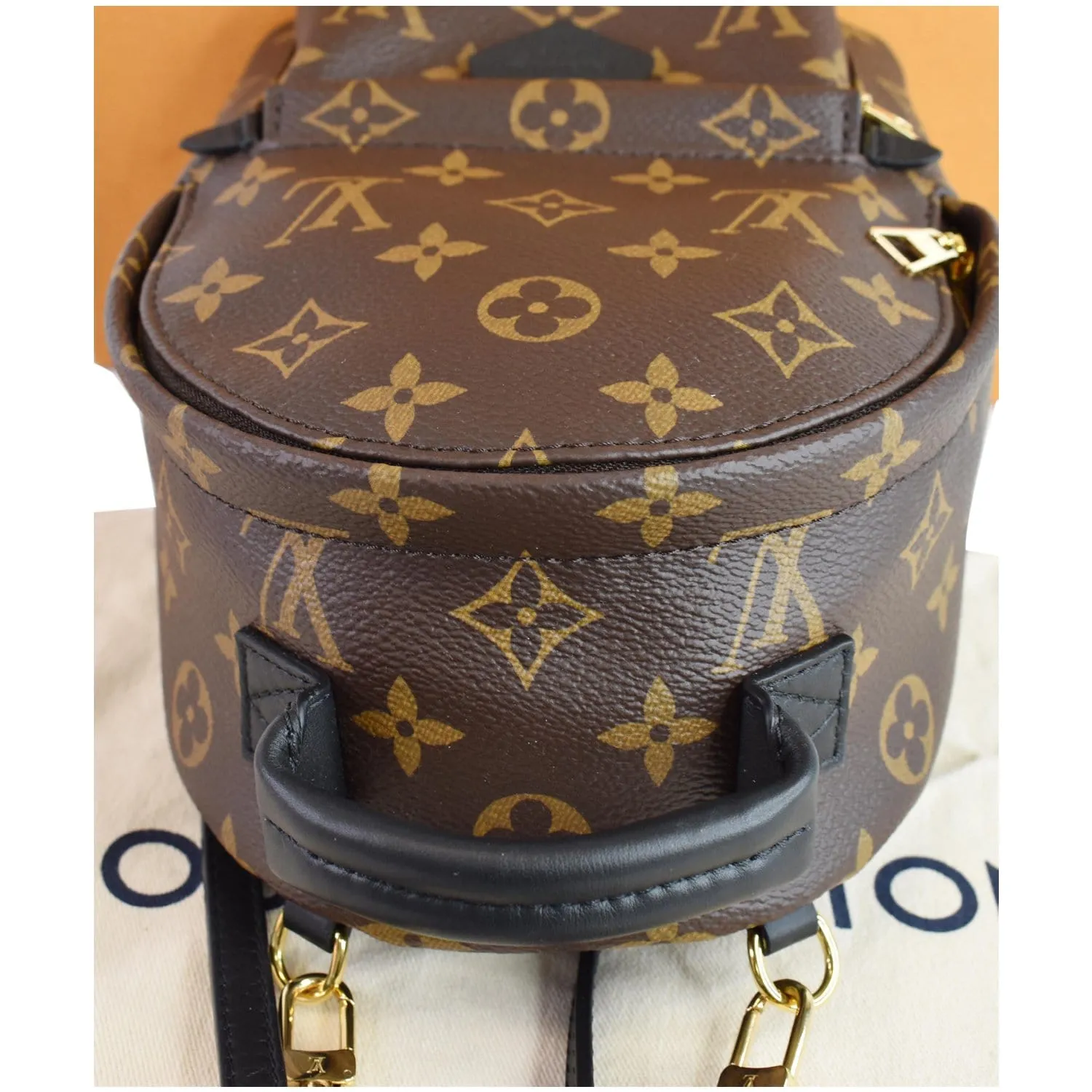 LOUIS VUITTON  Palm Springs Mini Monogram Canvas Backpack Brown
