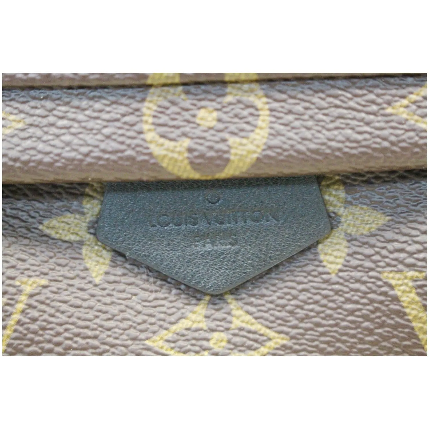 LOUIS VUITTON Palm Springs Mini Monogram Canvas Backpack Brown