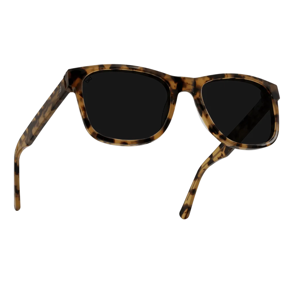 Otus Sustainable Bio-Acetate Sunglasses | Ochre