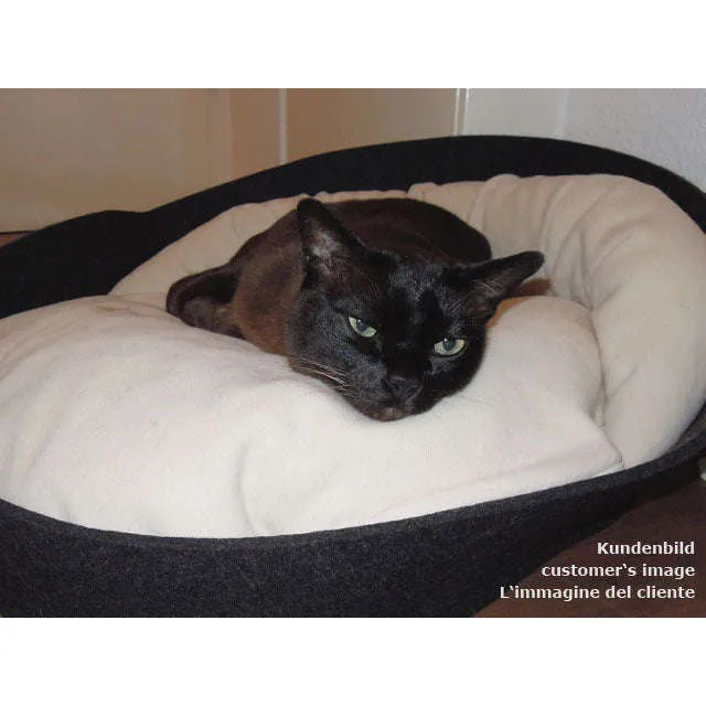 Pet Interiors ARENA Felt Designer Cat Bed