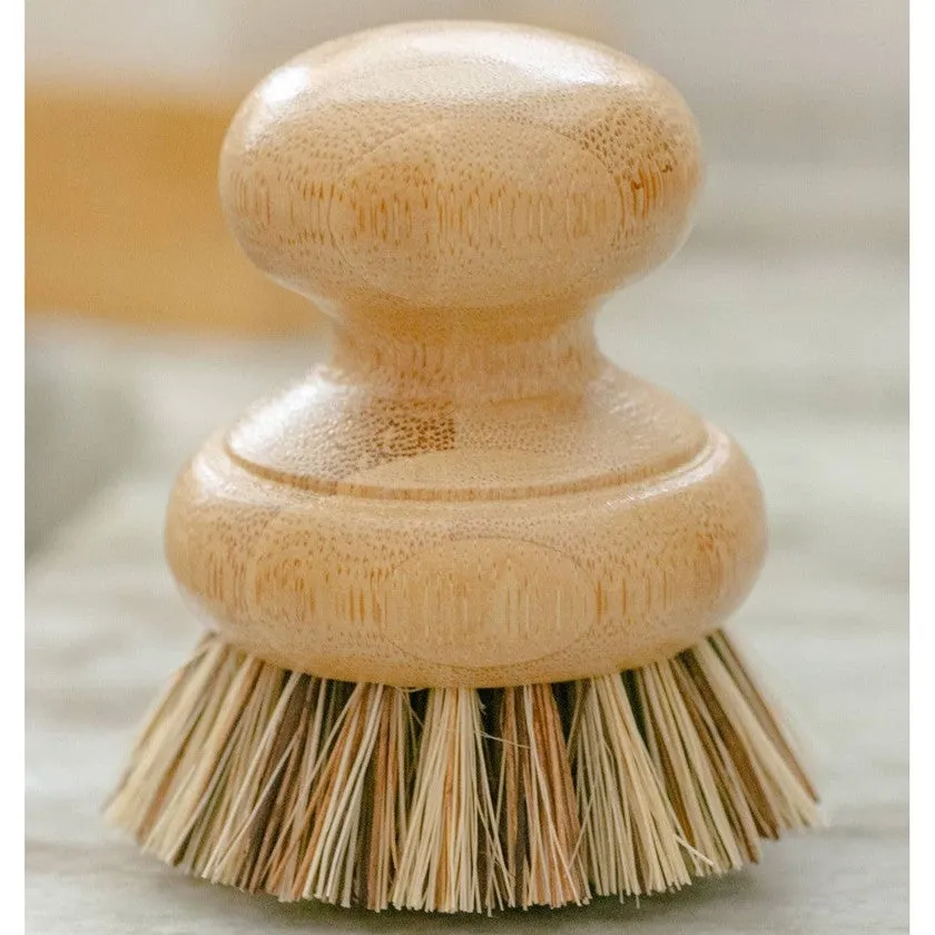 Pot Scrubber Brush