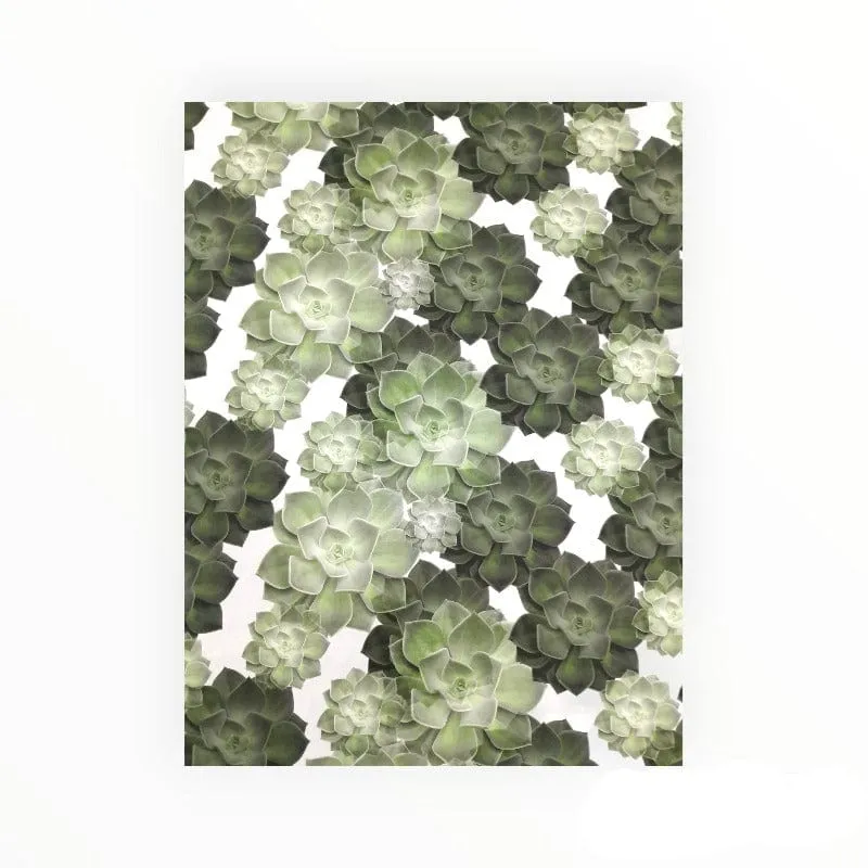 Printed Cotton Collection 150 cm