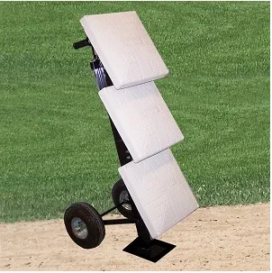 Professional Base Cart