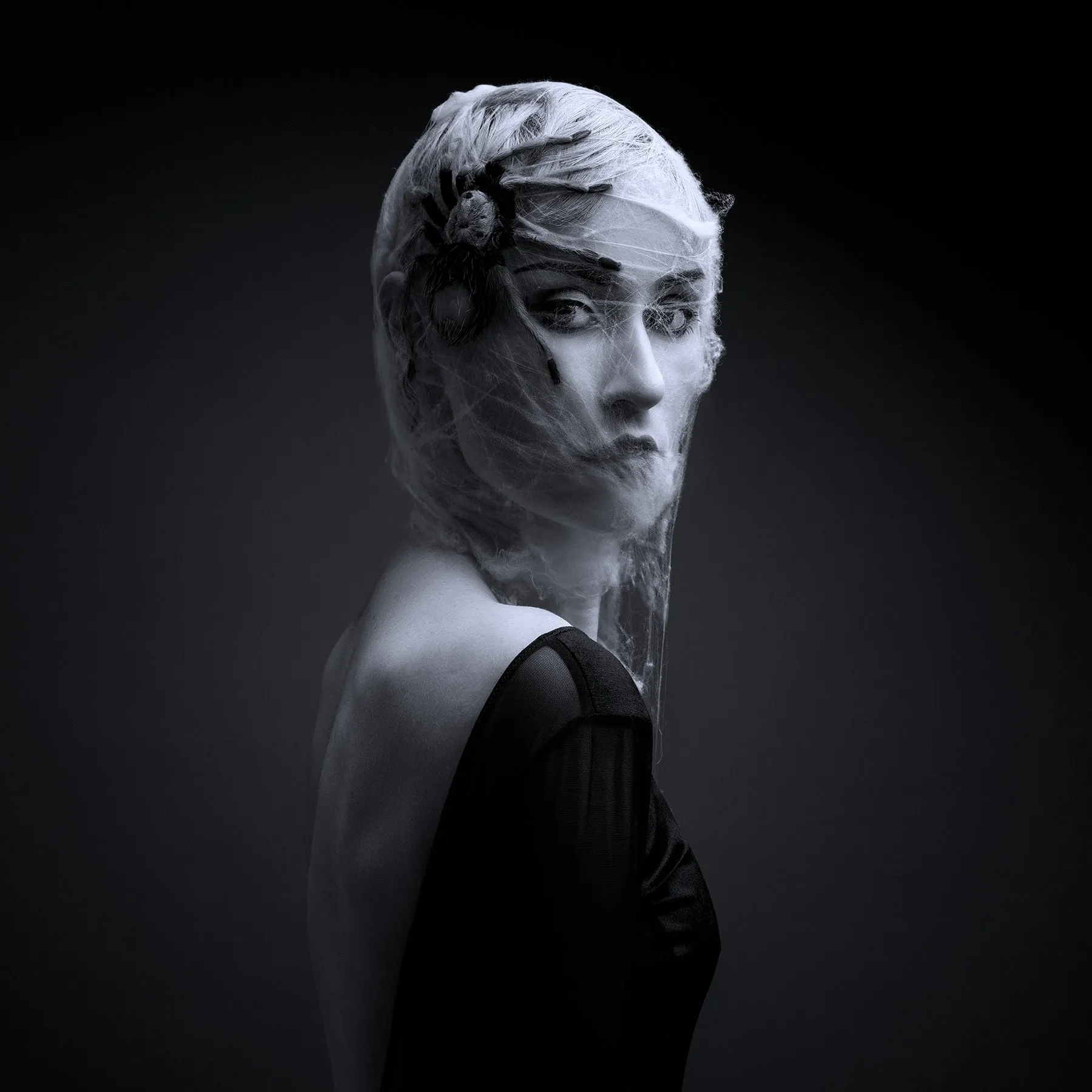 Professional Preset Collection