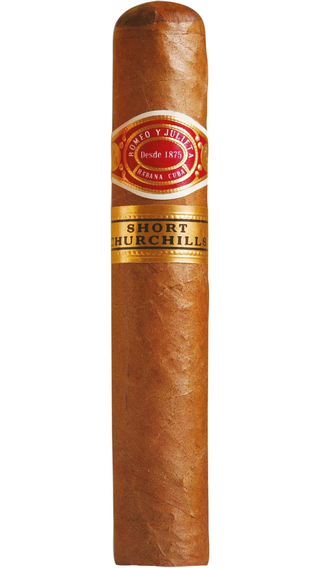 Romeo y Julieta Short Churchill