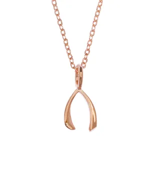 Samantha Faye Small Wishbone Pendant Necklace